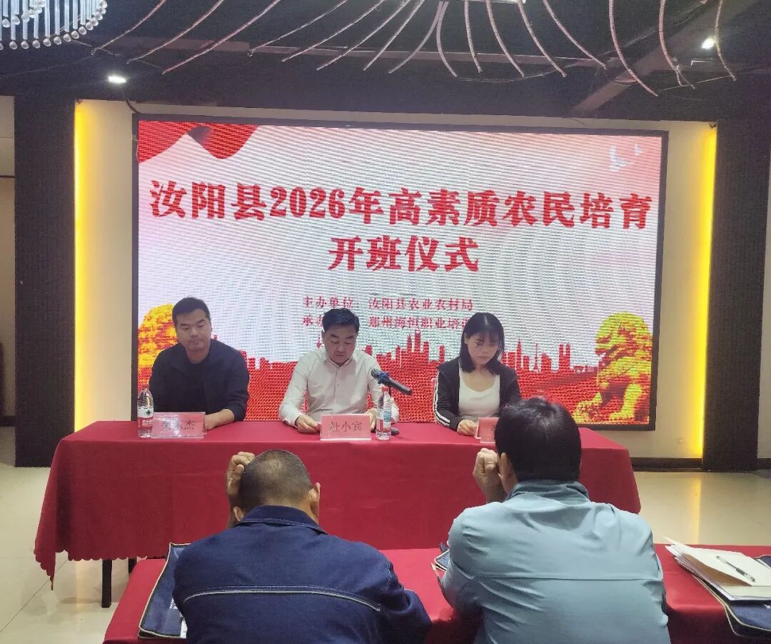 26年汝阳 26年汝阳