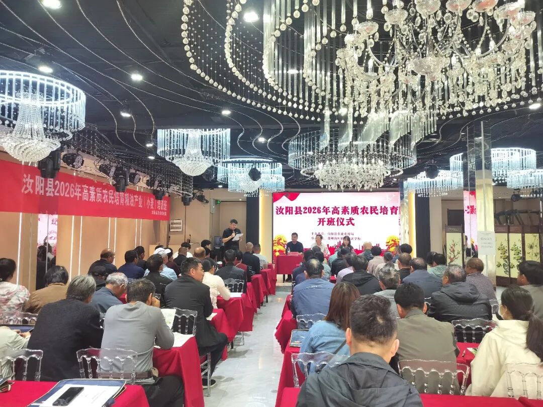 26年汝阳-2 26年汝阳-2